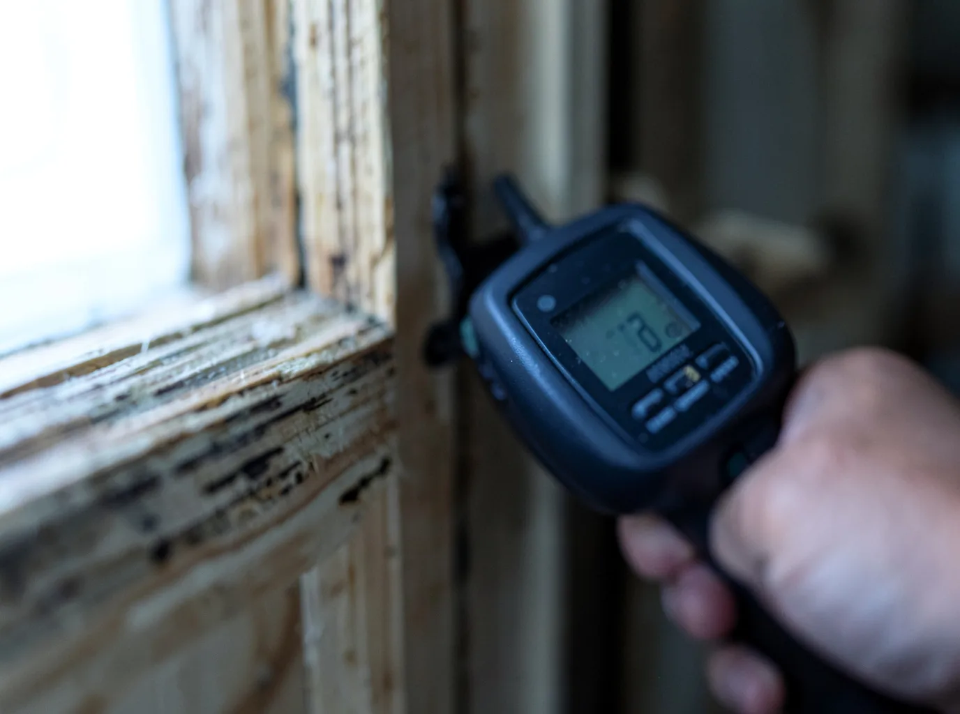 Moisture Inspection And Documentation in Summitville, IN